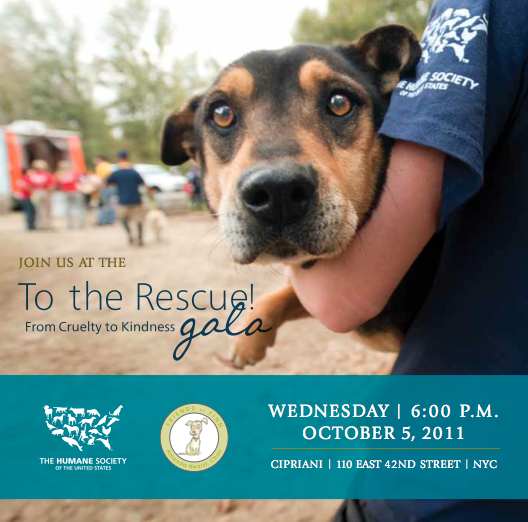 Friends of Finn Humane Society