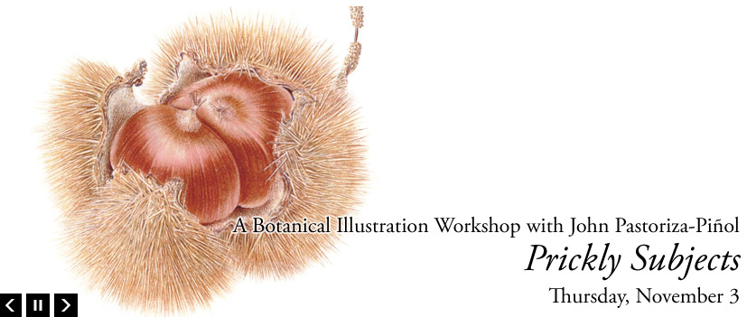 Screen shot 2011-10-22 at 12.46.08 PM