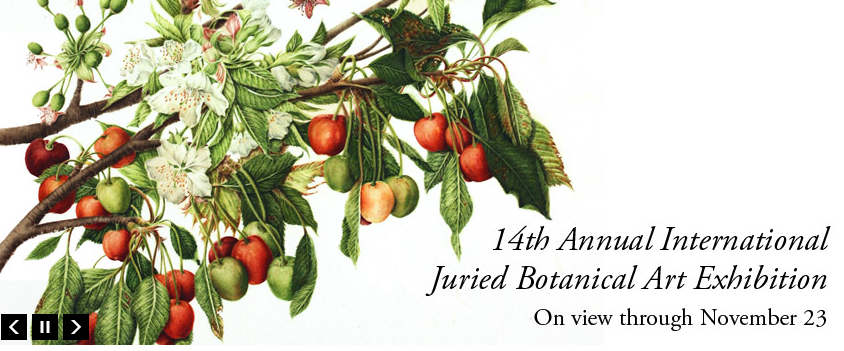 Screen shot 2011-10-22 at 12.46.28 PM