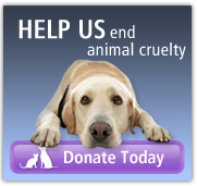 ASPCA Donate