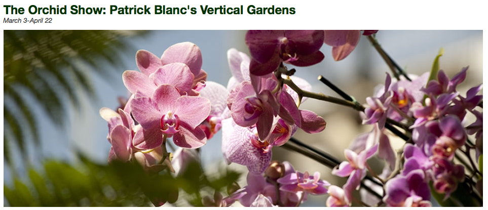 New York Botanical Garden