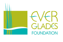 everglades foundation