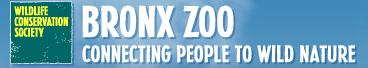 Bronx Zoo Bronx Zoo