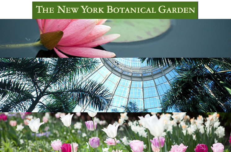 new york botanical garden new york botanical garden