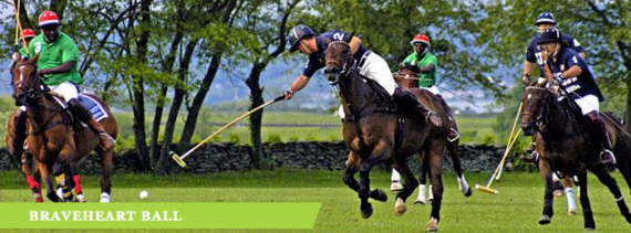Braveheart Polo Ball Braveheart Polo Ball