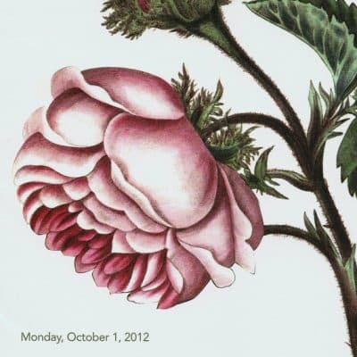 NYBG Annual Rose Garden Dinner Dance Invitation