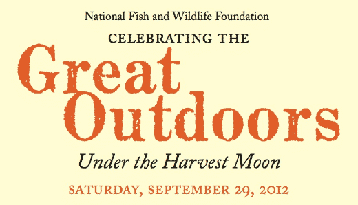 The Great Outdoors in Greenwich