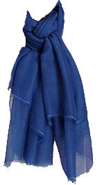 Blue Scarf Blue Scarf