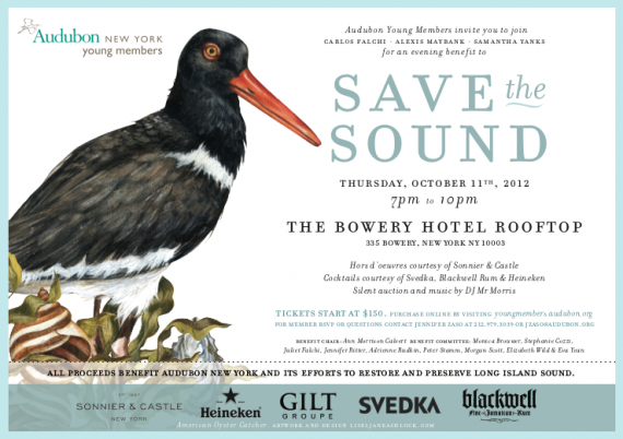 save the sound audubon young members