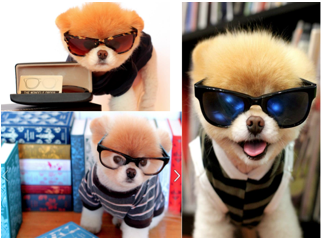 The Monocle Order The Monocle Order