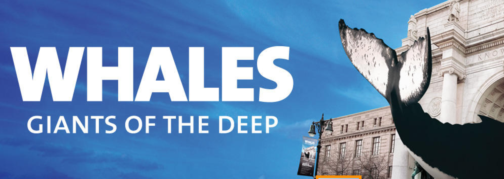 museum of natural history museum of natural history