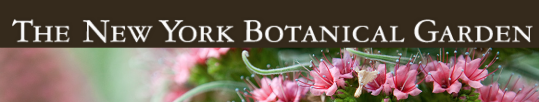 New York Botanical Garden New York Botanical Garden