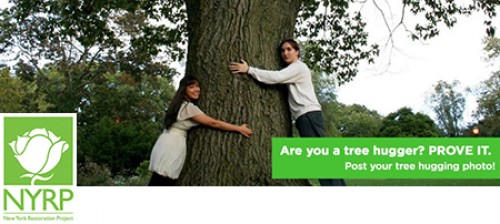 Are you a tree hugger? Are you a tree hugger?