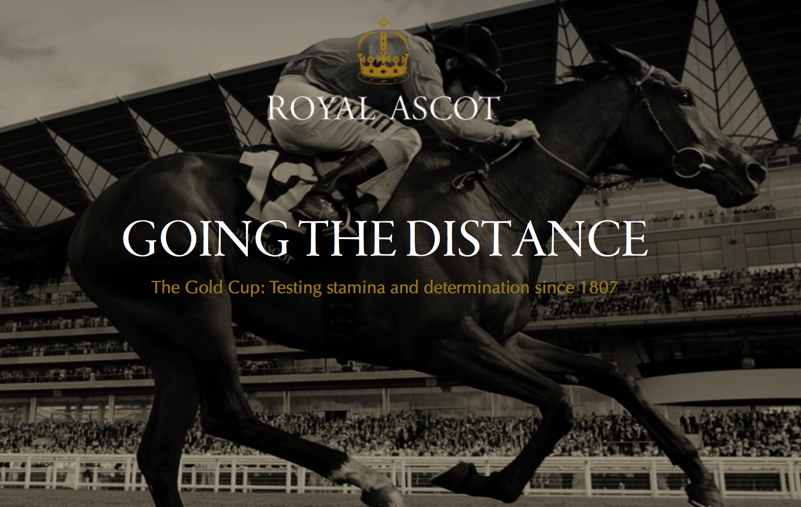 what to wear royal ascot what to wear royal ascot