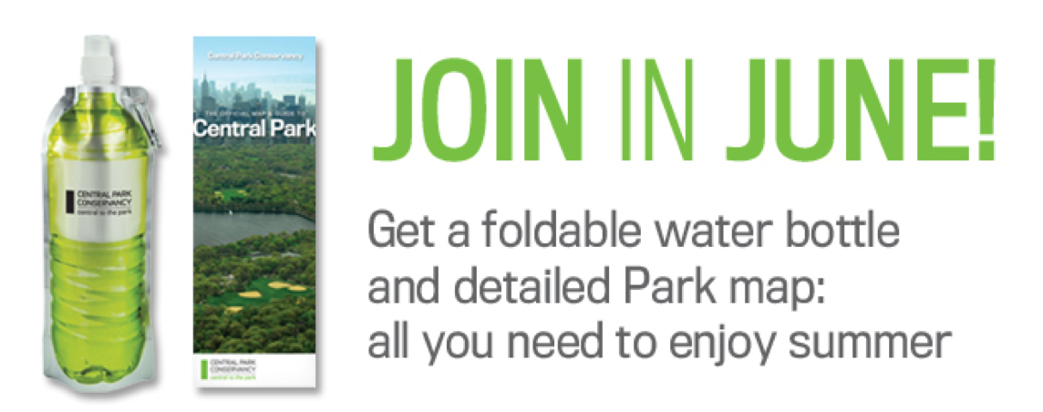 central park conservancy central park conservancy