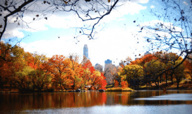 New York in Fall