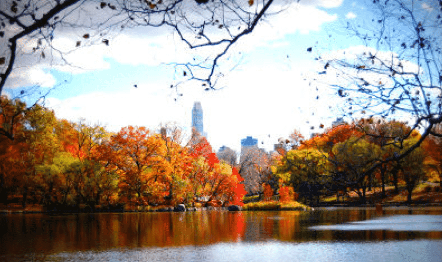 New York in Fall