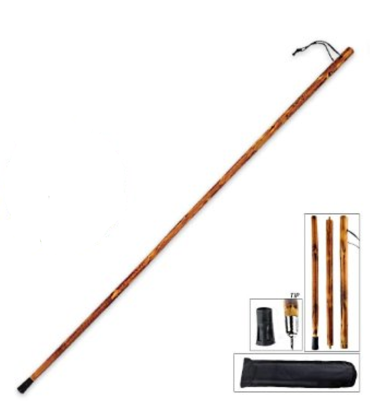 walking stick walking stick