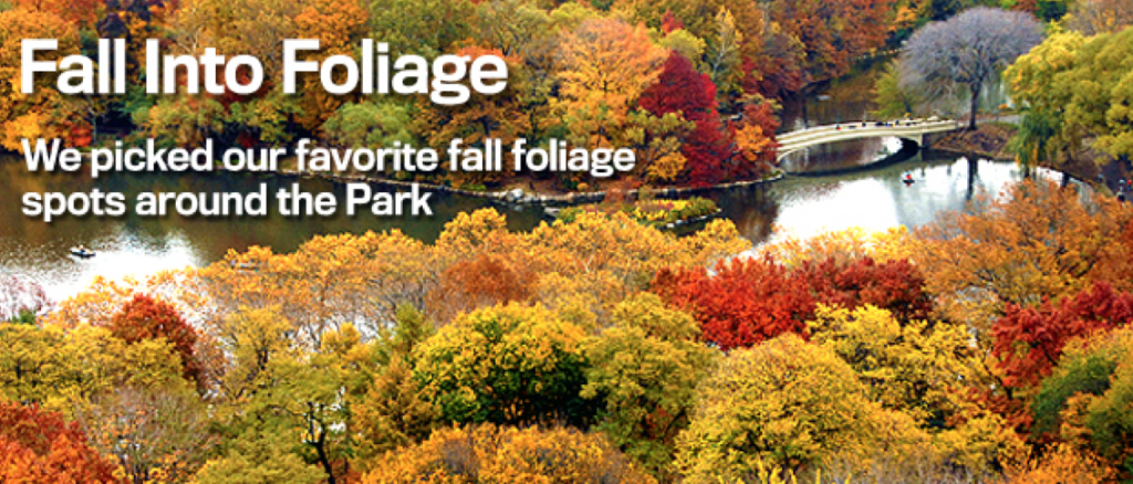 central park conservancy womens committee