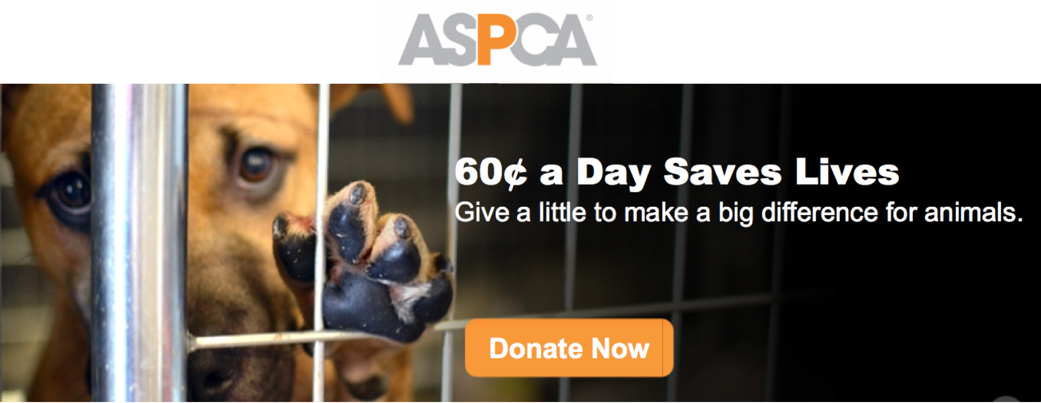 Screen Shot 2013-11-18 at 2.43.48 PM