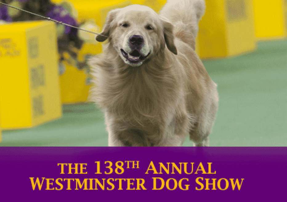 Westminster Kennel Club
