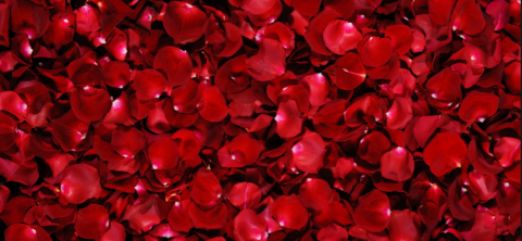 what to wear valentines day