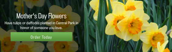 Screen Shot 2016-04-28 at 4.05.52 PM