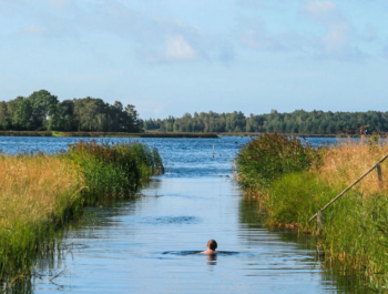 Screen Shot 2016-06-02 at 11.39.21 AM