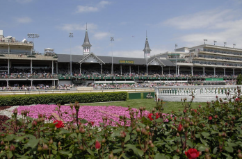 Screen Shot 2017-04-26 at 1.36.31 PM