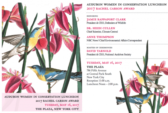 what to wear audubon luncheon