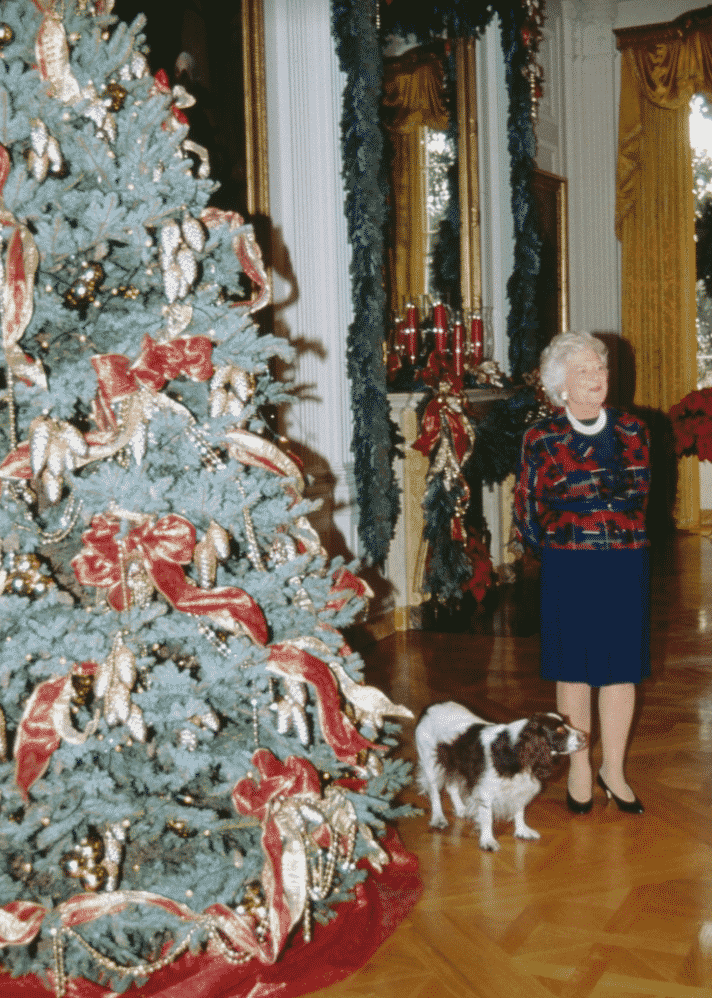 Weekly Fave Five  11.30.18