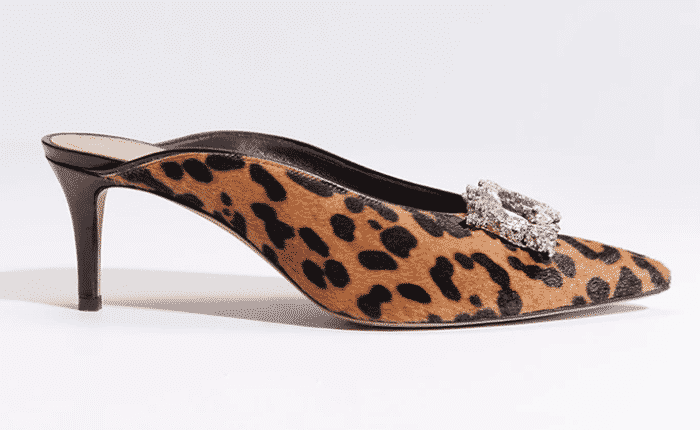 Trending Kitten Heel Mules